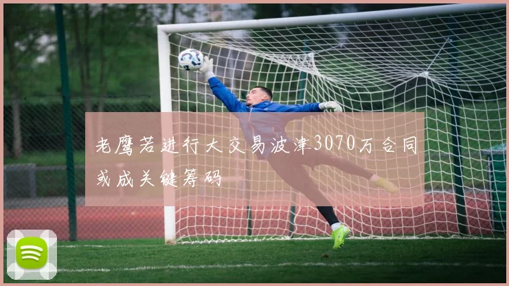 老鹰若进行大交易波津3070万合同或成关键筹码