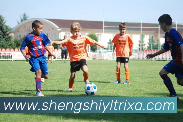 盛世娱乐平台生态图