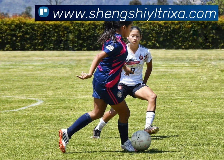 盛世娱乐APP 封面图